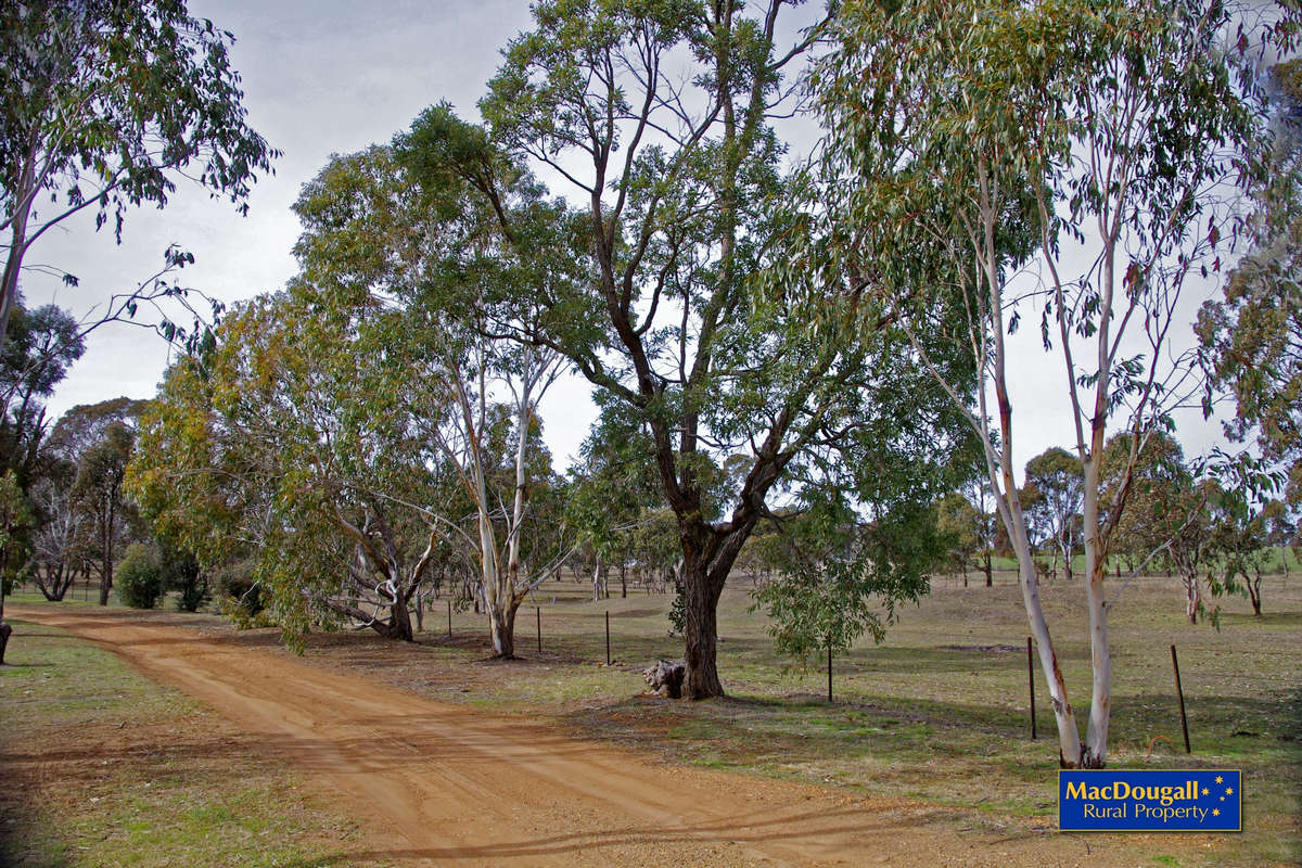 Kellys Plains Road