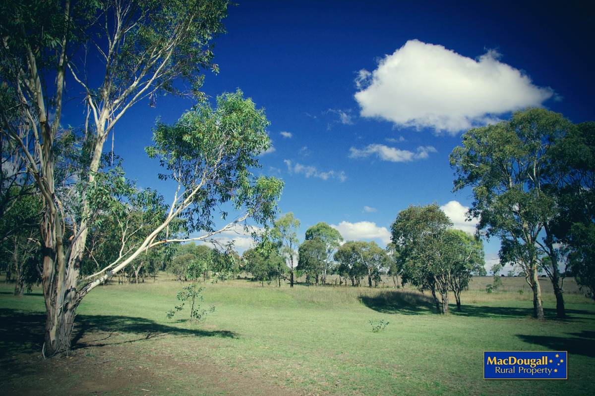 Kellys Plains Road MacDougall Rural Property