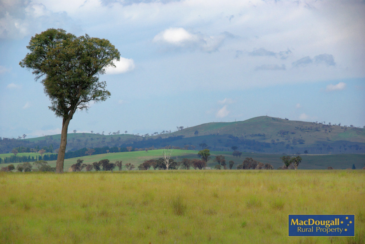 Build Here - Uralla 100 Acres