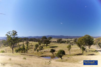 Hillview, Wollomombi
