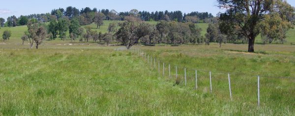 Having clear boundaries is essential when subdividing rural property