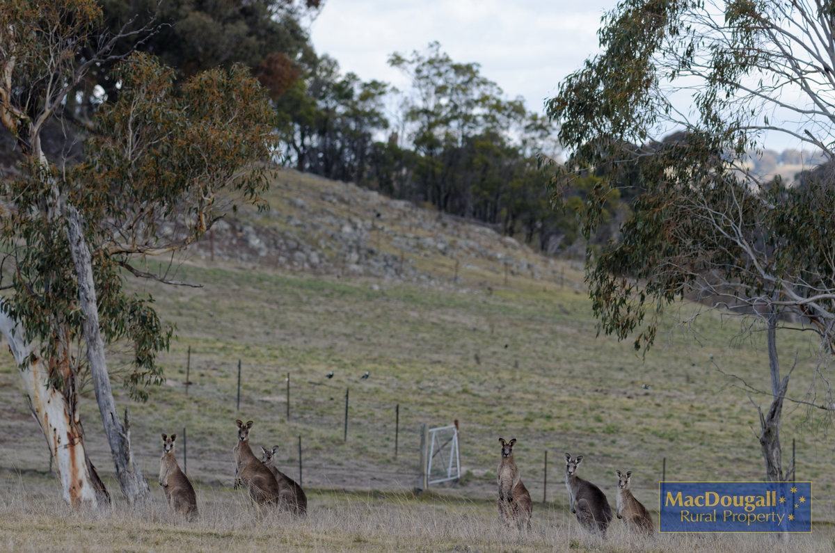 "Arran Park" MacDougall Rural Property
