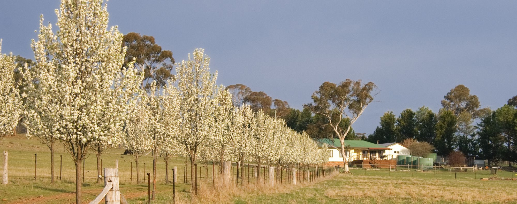 "Shady Springs" MacDougall Rural Property