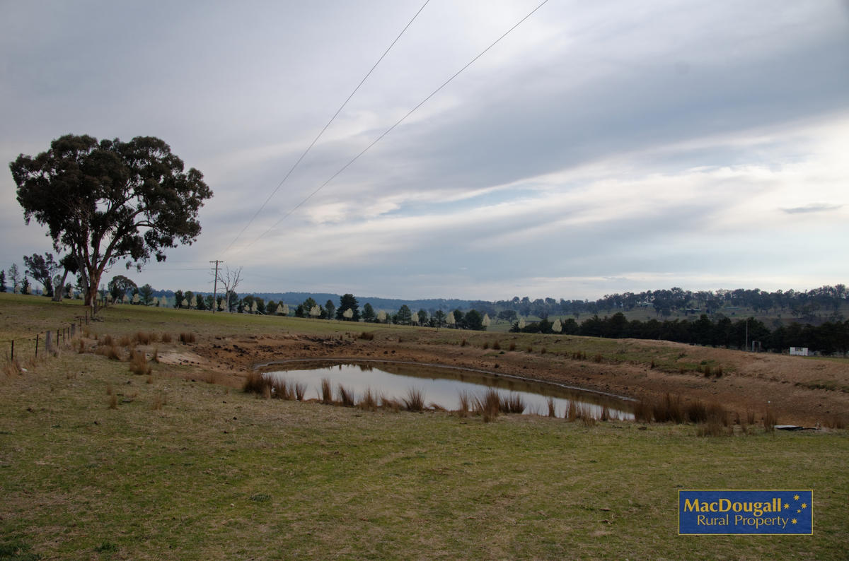 "Shady Springs" MacDougall Rural Property