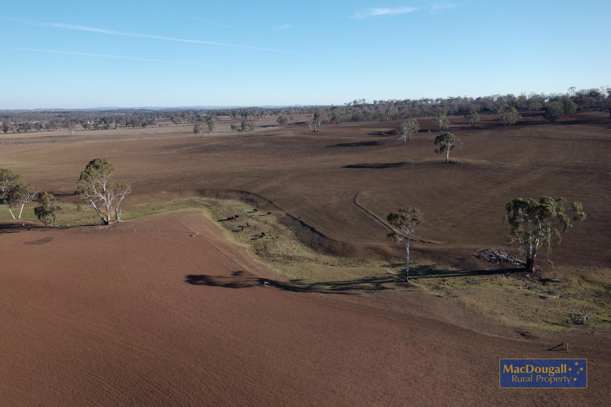 1098 Puddledock Road MacDougall Rural Property