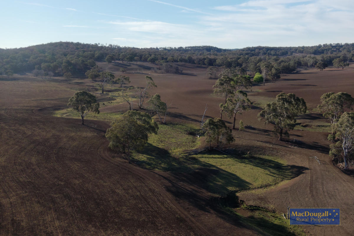 1098 Puddledock Road MacDougall Rural Property