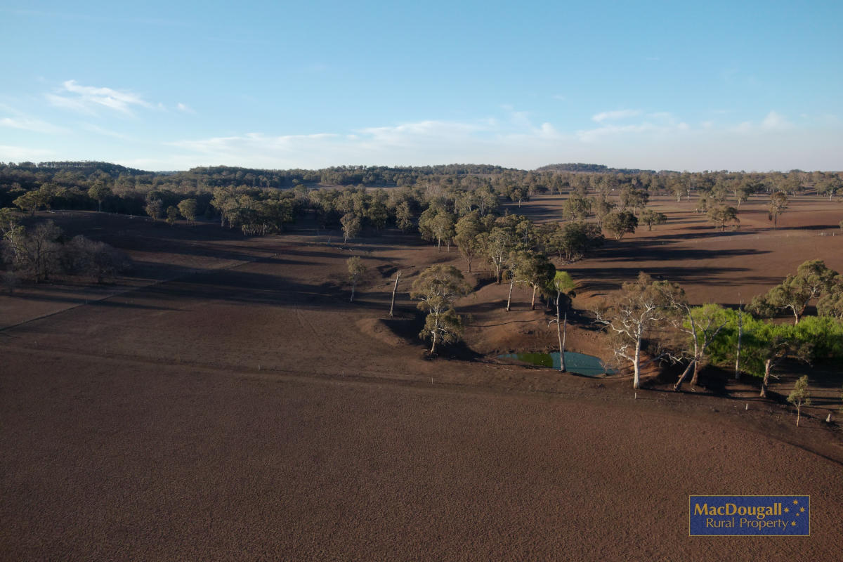 1098 Puddledock Road MacDougall Rural Property