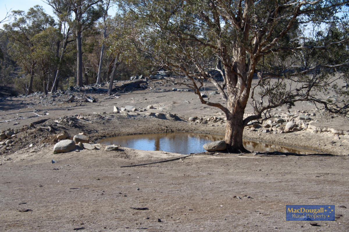 1098 Puddledock Road MacDougall Rural Property