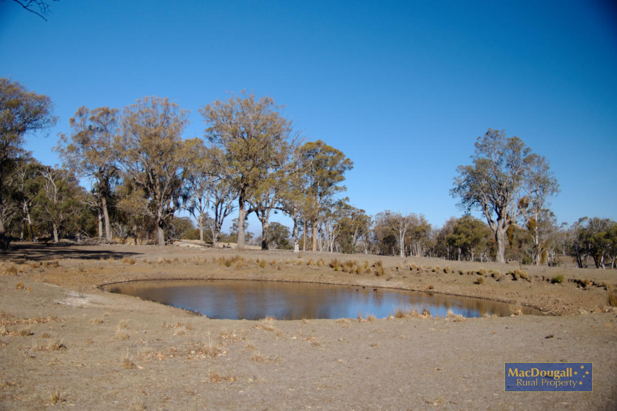 1098 Puddledock Road MacDougall Rural Property