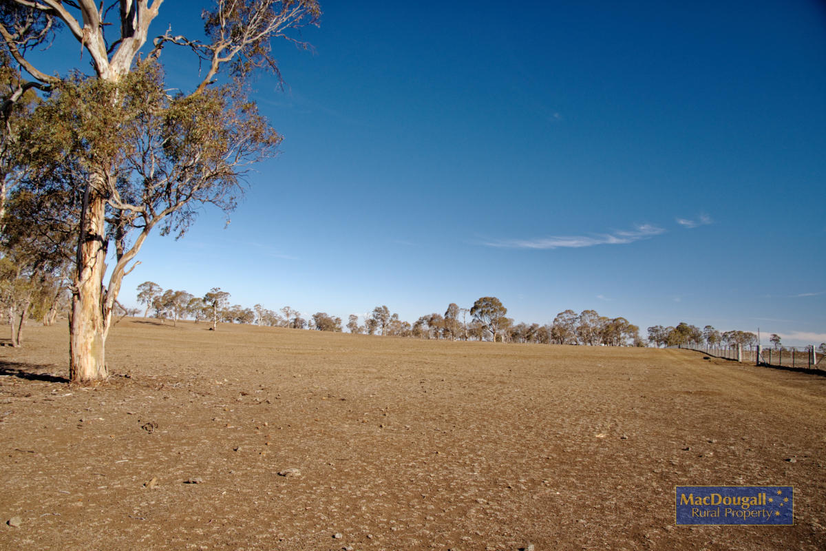 1098 Puddledock Road MacDougall Rural Property