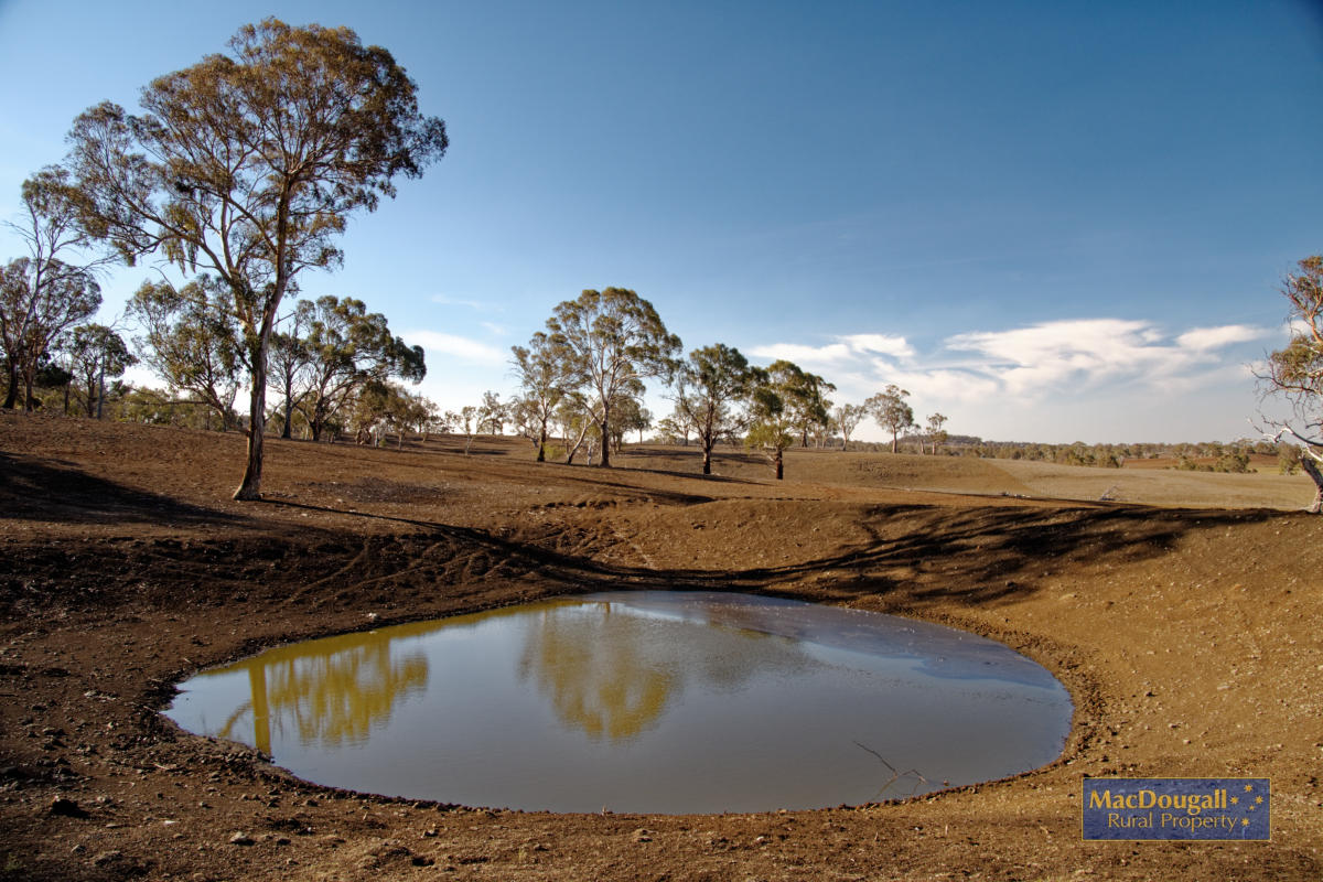 1098 Puddledock Road MacDougall Rural Property