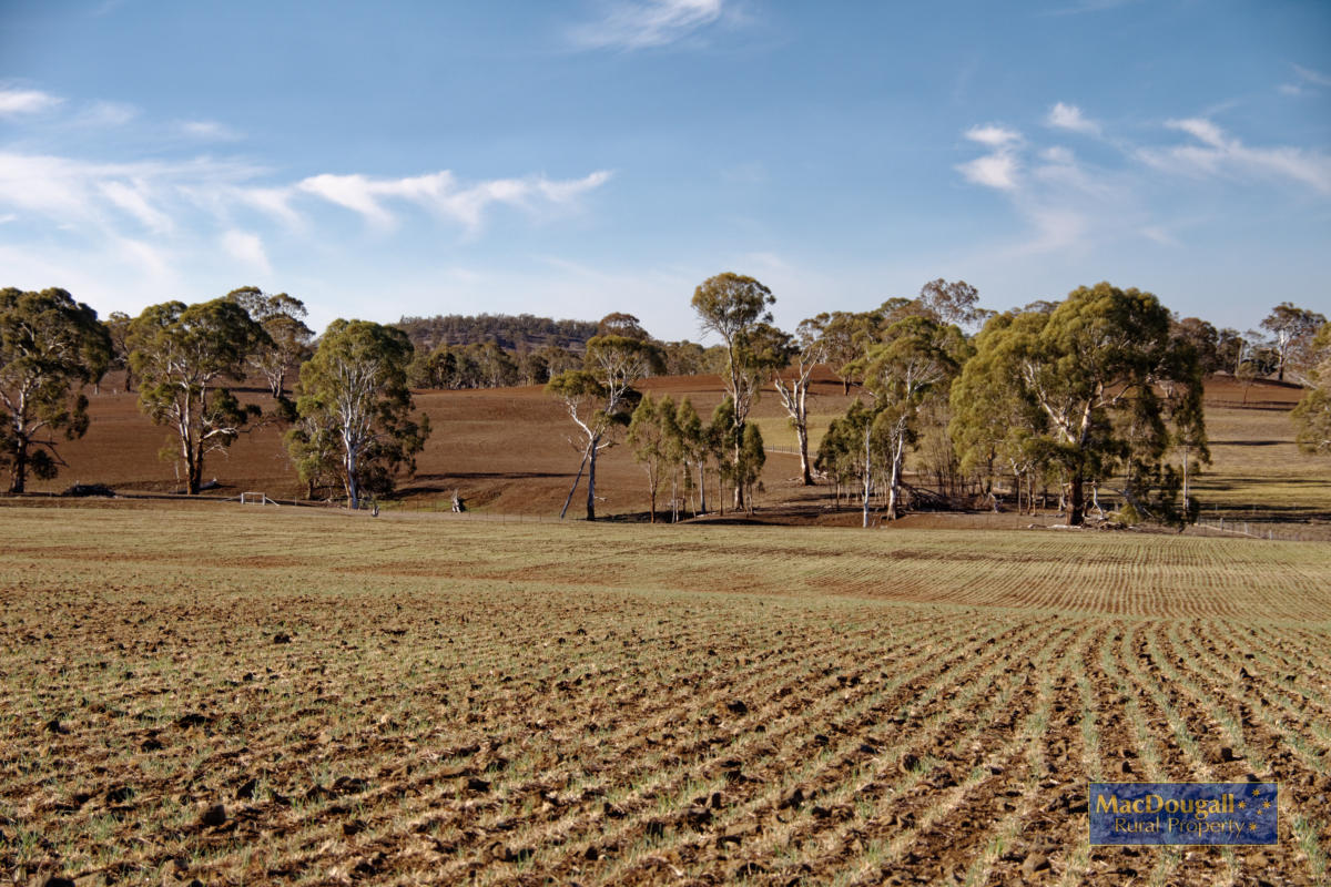 1098 Puddledock Road MacDougall Rural Property