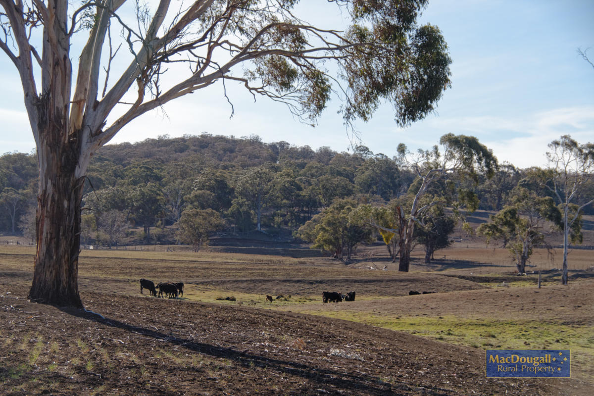 1098 Puddledock Road MacDougall Rural Property