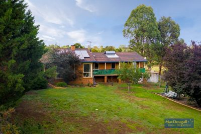 133 Mount Mitchell Road