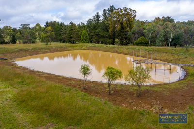 133 Mount Mitchell Road