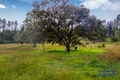 133 Mount Mitchell Road
