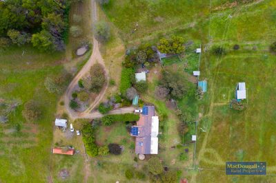 133 Mount Mitchell Road