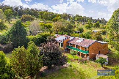 133 Mount Mitchell Road