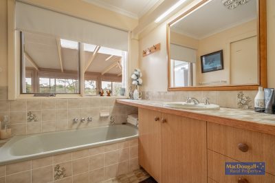 133 Mount Mitchell Road