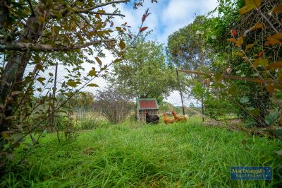 133 Mount Mitchell Road