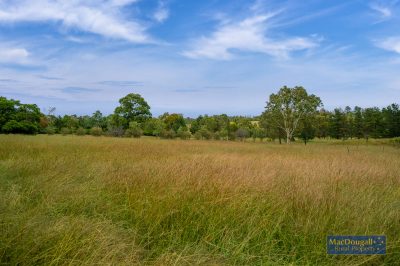 133 Mount Mitchell Road