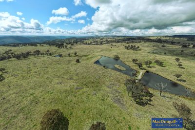 Primary Production, Spectacular Location