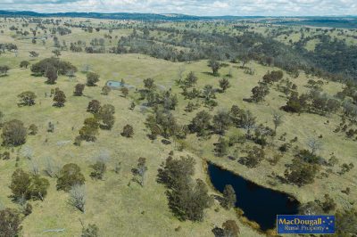 Primary Production, Spectacular Location