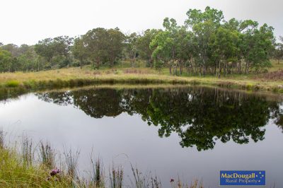 Primary Production, Spectacular Location