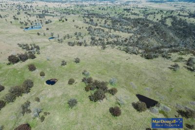 Primary Production, Spectacular Location
